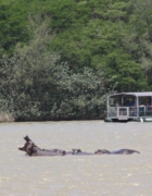 Bon plan logement à Rome : un appartement reconverti en B&B