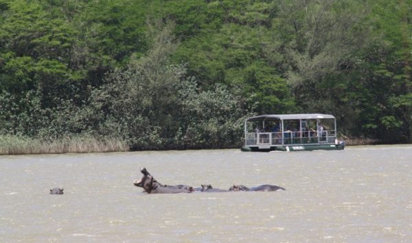 Croisière mouvementée dans l’estuaire de St Lucia en Afrique du Sud