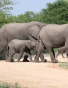 Ko Phi Phi, ça vaut le coup ?