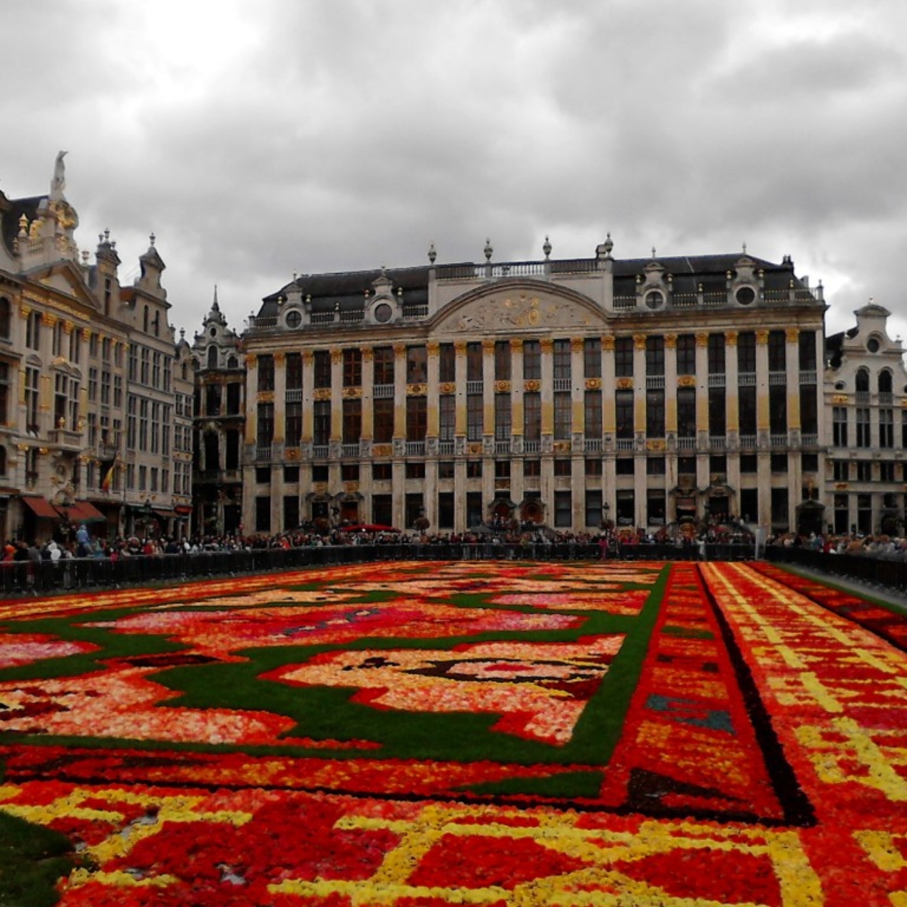 Quand Bruxelles déroule son tapis de fleurs