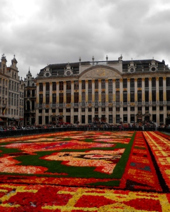 Quand Bruxelles déroule son tapis de fleurs