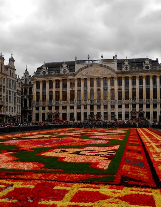 Quand Bruxelles déroule son tapis de fleurs