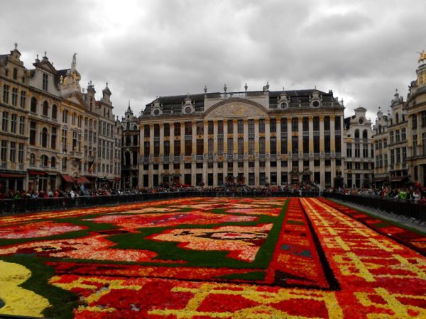 Quand Bruxelles déroule son tapis de fleurs