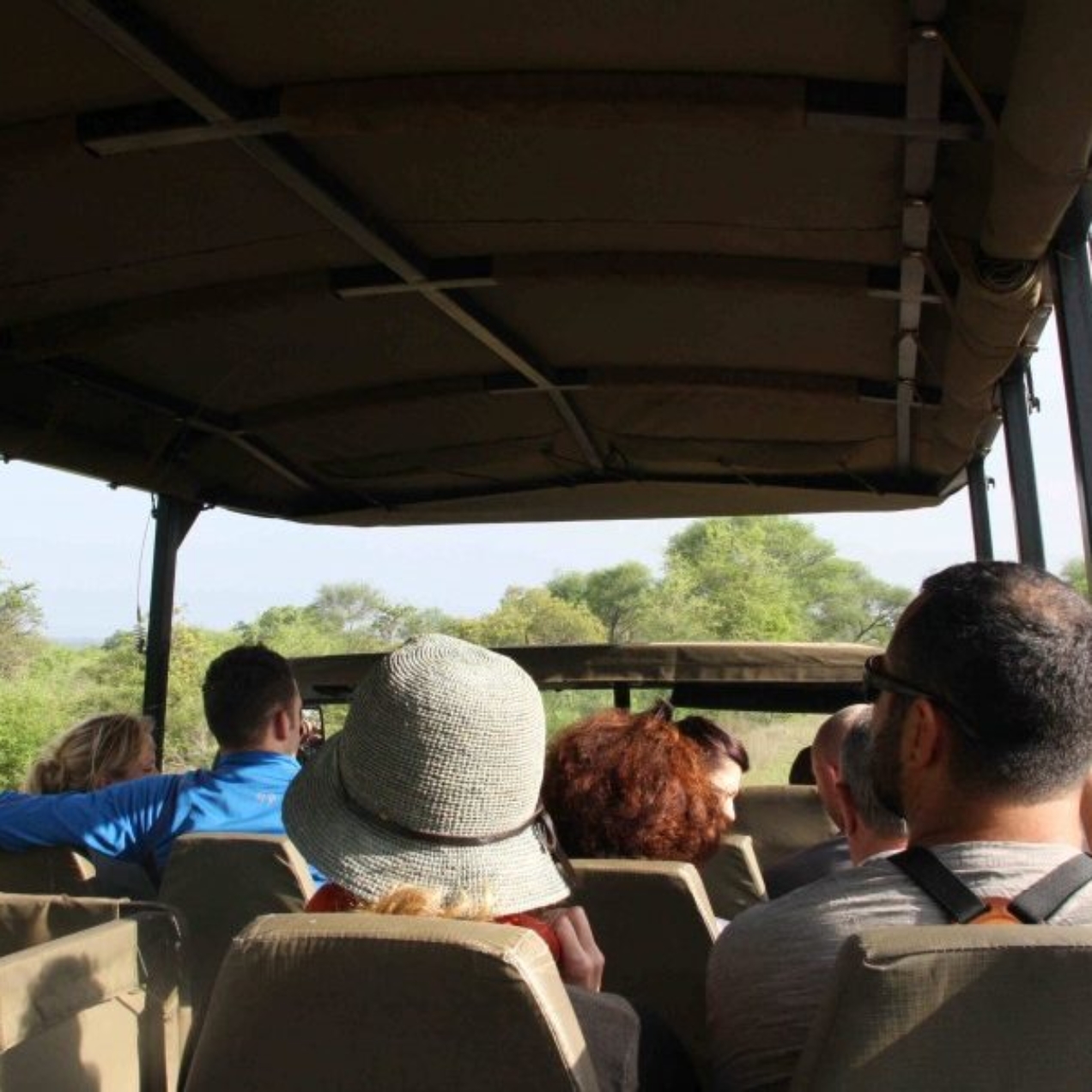 Faut-il participer à des game drive en Afrique du Sud?