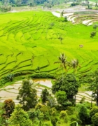 Le Machu Picchu, une machine à sous ?
