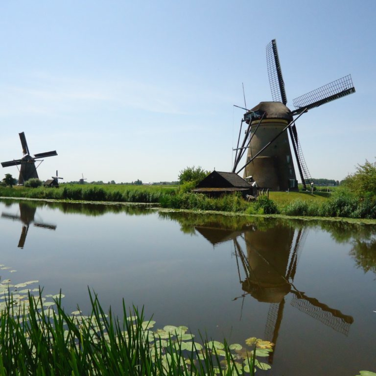 Au pays des moulins de Kinderdijk et Gouda