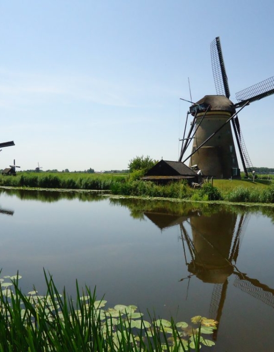 Au pays des moulins de Kinderdijk et Gouda