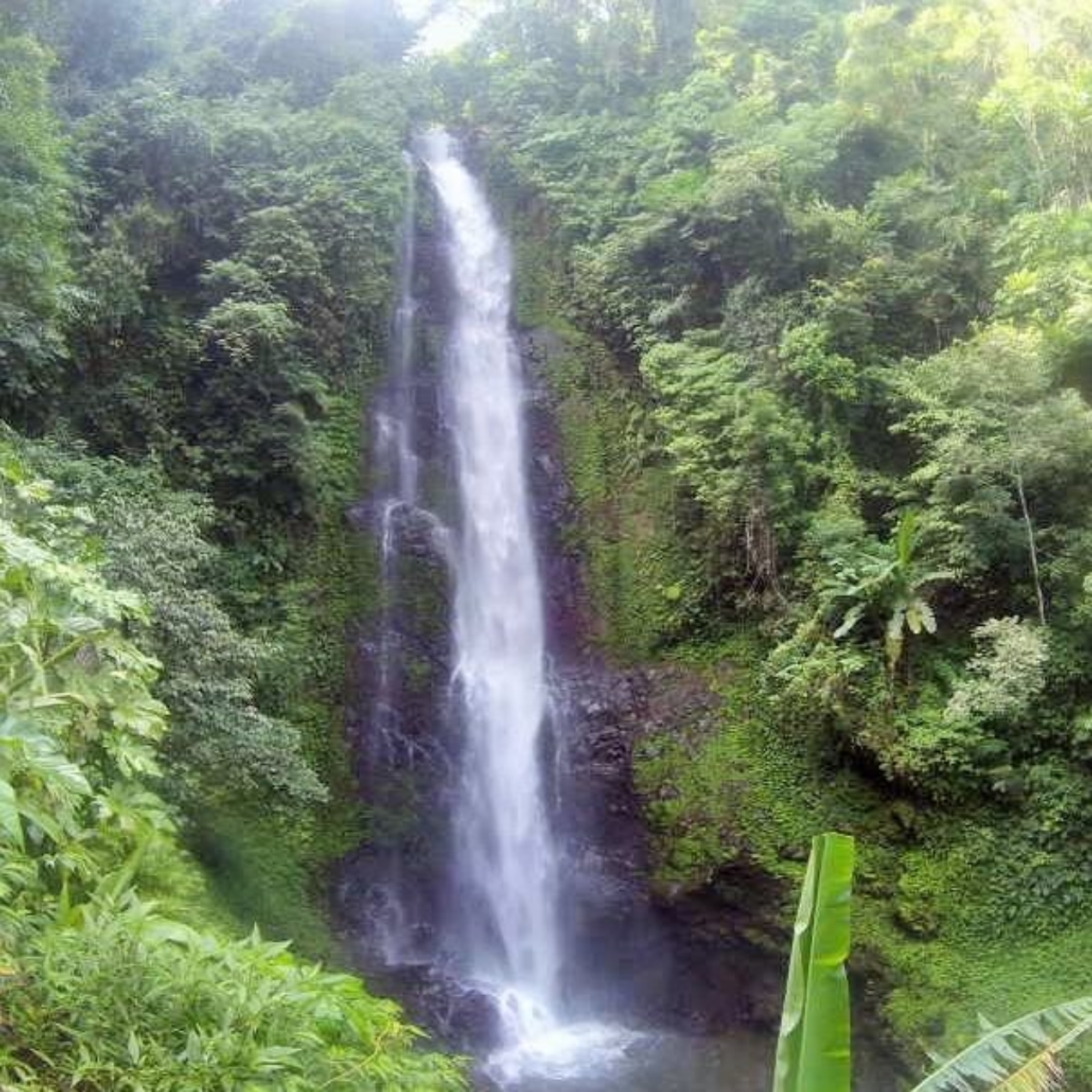 Au nord de Bali, découverte de Munduk