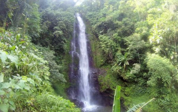 Au nord de Bali, découverte de Munduk