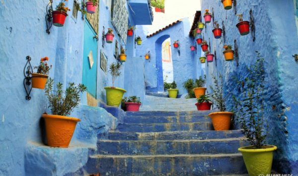 Chefchaouen, je suis bleu de toi