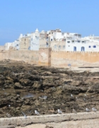 En route pour 2016 !