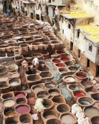 Visiter les tanneries de Fes