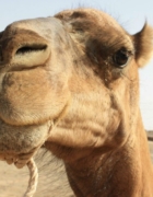 Baptême de plongée à Gili Air