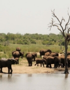 Récit de 5 jours dans le canyon Del Colca