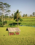 5 jours  à El Nido